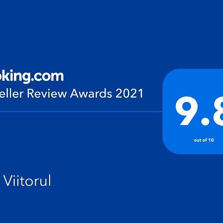 Vila Viitorul Buşteni エクステリア 写真