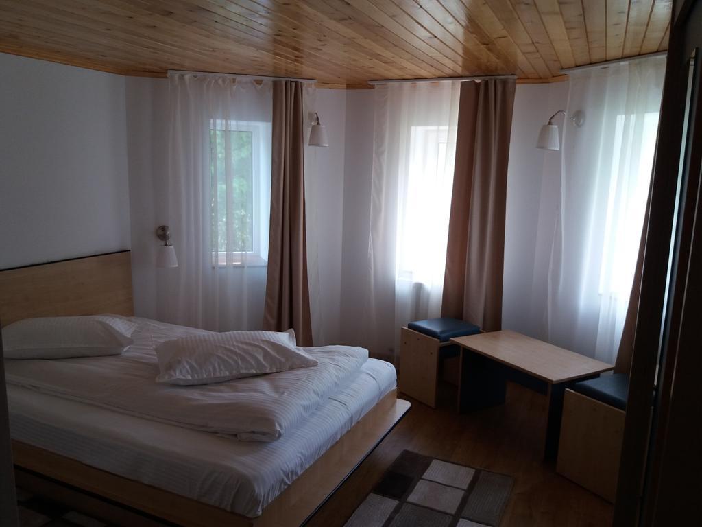 Vila Viitorul Buşteni エクステリア 写真