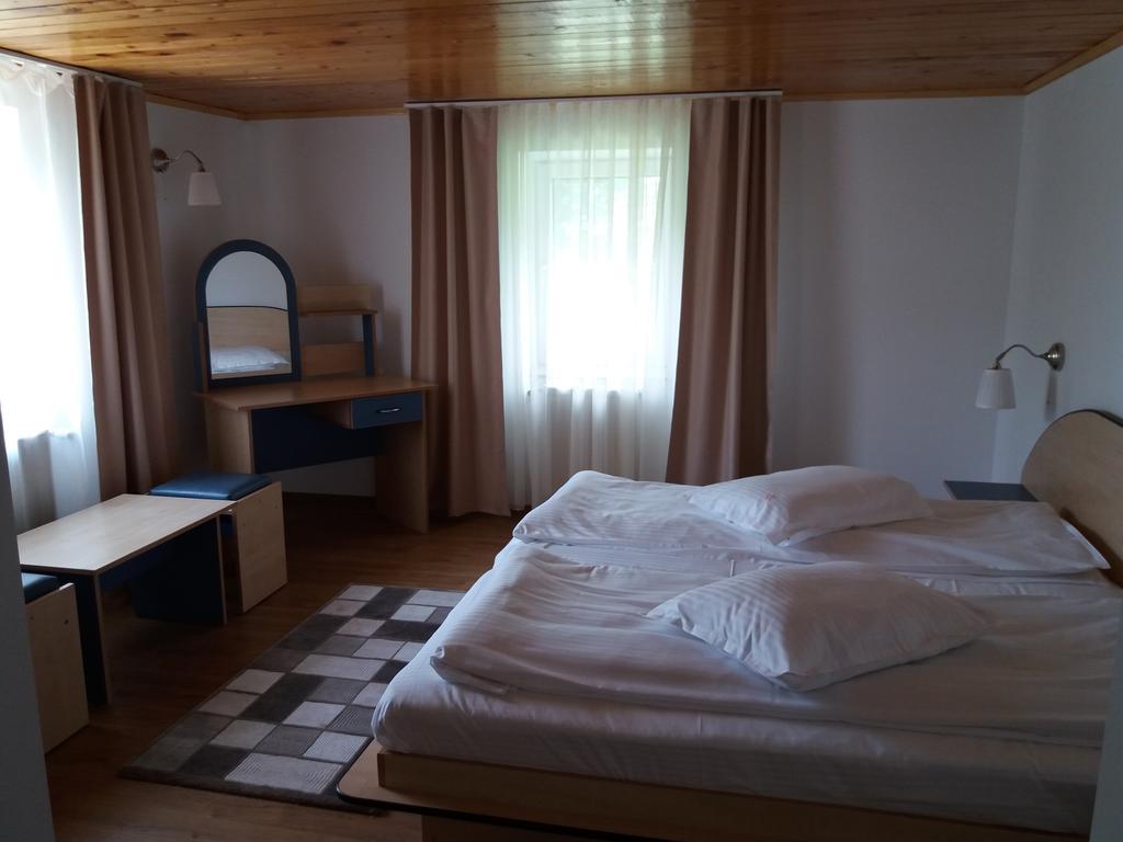 Vila Viitorul Buşteni エクステリア 写真