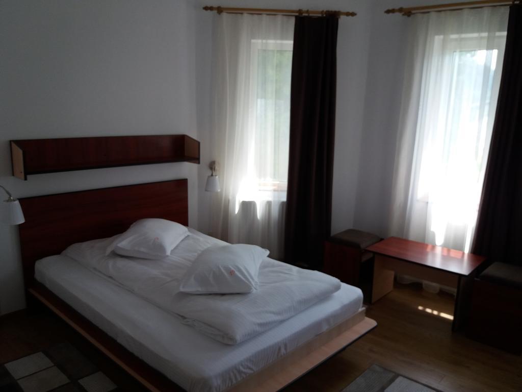 Vila Viitorul Buşteni エクステリア 写真