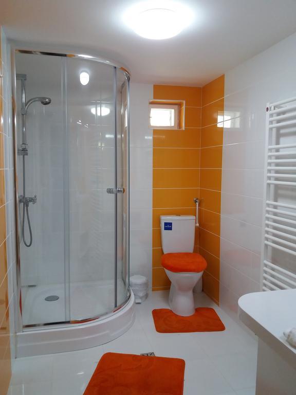 Vila Viitorul Buşteni エクステリア 写真