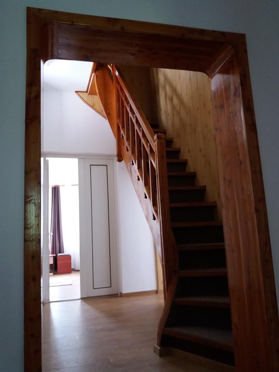 Vila Viitorul Buşteni エクステリア 写真